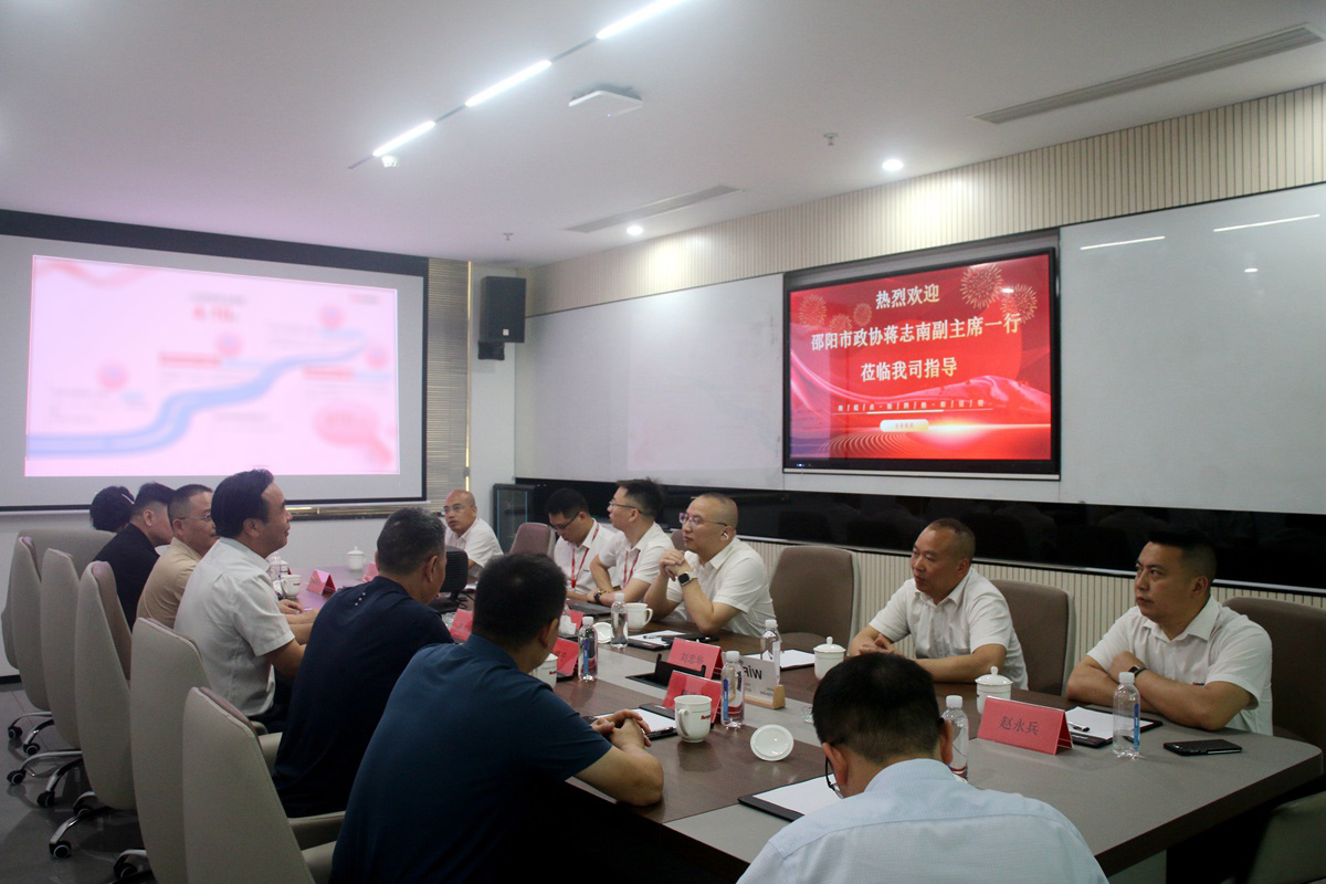 01双方展开会晤.JPG